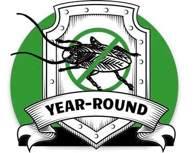 protection plan