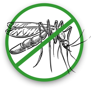 mosquito graphic