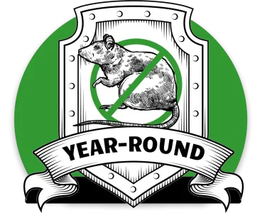 rodent plan