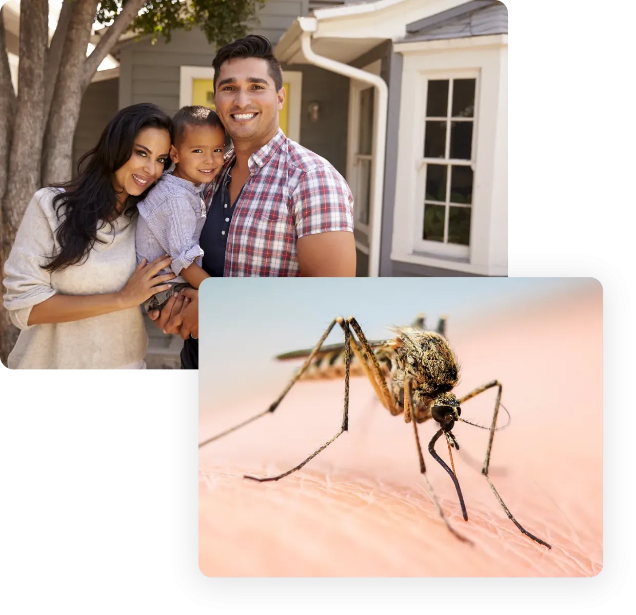 mosquito control, family enjoying being outside