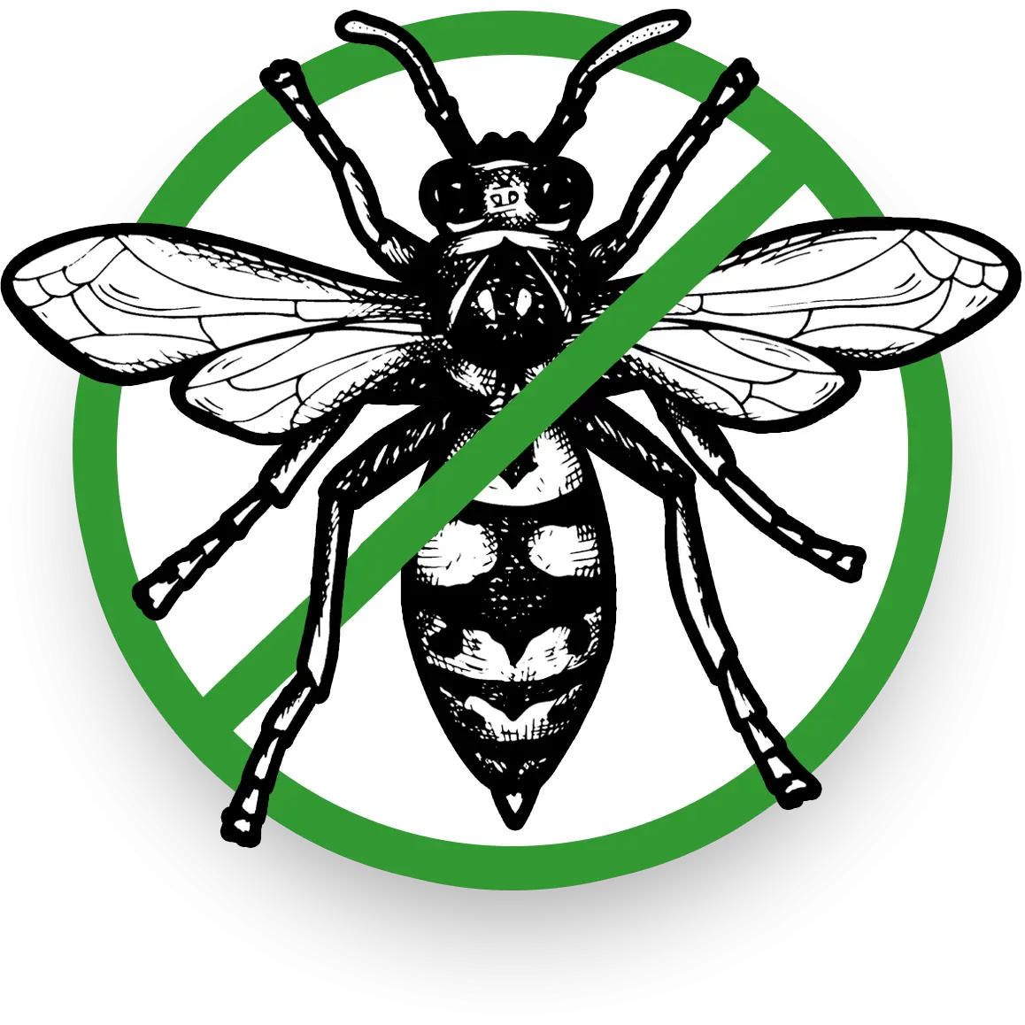 wasp graphic