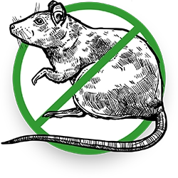 Exterminated Rodent Illustration