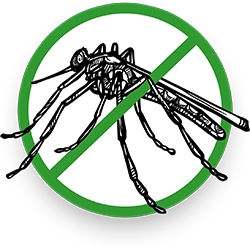 Exterminated Mosquito Illustration